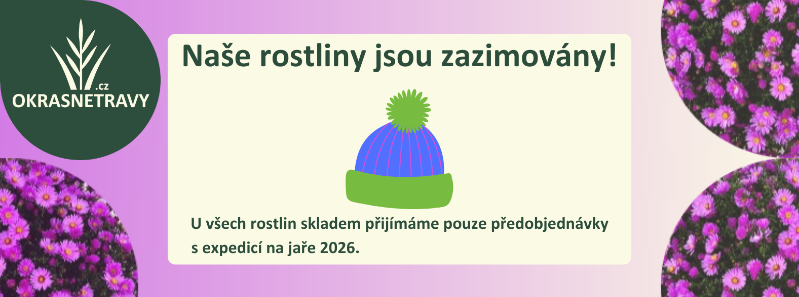 ZAZIMOVANI trvalky kategorie